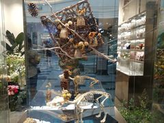 -植物学家的女儿(北马道巷店)