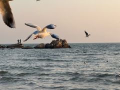 -老虎石海上公园