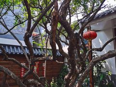 -张家大院·鲁菜·私房菜(芙蓉街店)