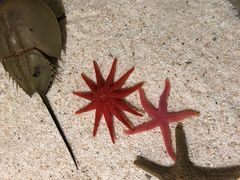 -福州罗源湾海洋世界旅游区