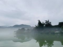 -广州市流溪河国家森林公园