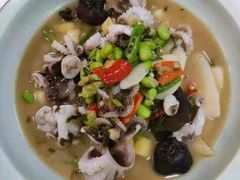 雪菜八爪鱼-東大方(海宁海昌路店)
