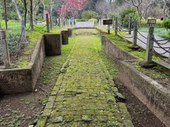 -柳侯公园