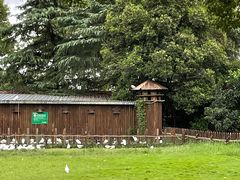 -上海野生动物园