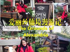 -The Grounds of Alexandria