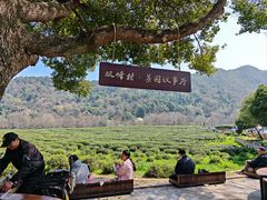 -中国茶叶博物馆(双峰馆区)