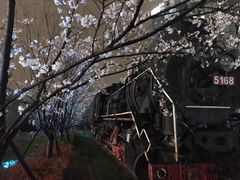 -新天地活力PARK