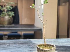 -元古本店(南锣鼓巷店)