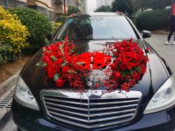 -蚂蚁婚车