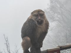 -峨眉山风景名胜区