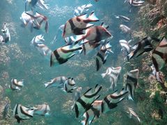 -海合安青岛极地海洋公园
