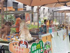-OCT PARK欢乐时光