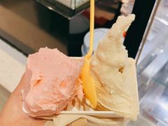 -野人先生现做冰淇淋(西安赛格店)