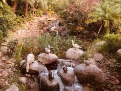 -福州贵安·温泉世界