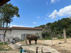 -宁波野生动物园