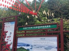 -江西阳明山国家森林公园