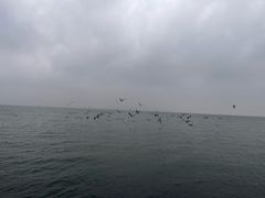 -那香海钻石沙滩浴场