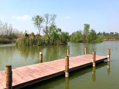 -白鹭湾湿地公园