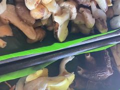 -木王宴语·野生鲜菌火锅(玉河店)