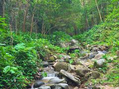 -火炉山森林公园