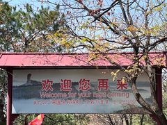 -磬锤峰森林公园