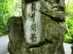 -龙井村