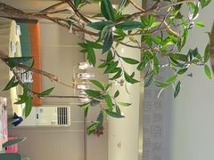 -刘胖子家常菜·蹄花焖藕(中南店)