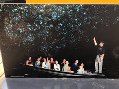 -怀托摩萤火虫洞