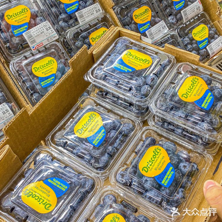 每次逛超市都要买的莓果‼️蓝莓比板栗还大🫐