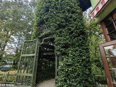 -三鹰之森吉卜力美术馆