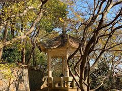 -汤山公园