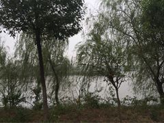-红山体育乐园