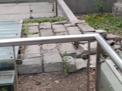 -皇城根遗址公园-东安门遗址