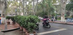 -河南中医药大学第一附属医院-医疗整形