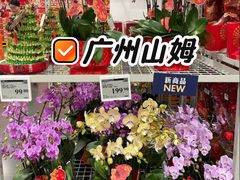 -山姆会员商店(亦庄创意生活广场店)