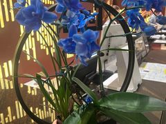 -北京东三环希尔顿逸林酒店