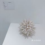 🟩走进玻璃世界，在 未知地带 寻觅"可见光"