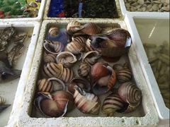 -外伶仃岛海鲜市场