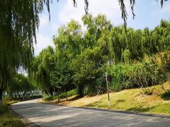-江阴敔山湖公园
