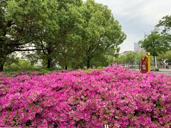 -凤城河风景区