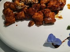 -玉玲珑(陆家嘴店)