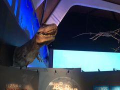 -贝林大翅鲸简餐厅(国家海洋博物馆店)