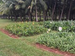 -白沙门生态公园