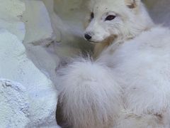 -重庆自然博物馆(新馆)