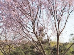 -河北省园博园