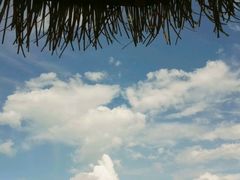 -浪琴湾度假村