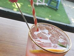 -柴犬高等学院·狗咖·柴犬售卖·宠物训练