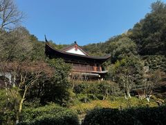 -十八棵（老龙井）御茶园(老龙井店)