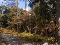 -飞霞风景名胜区