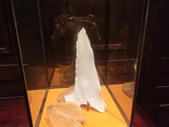 -北京贵宾楼饭店·紫金